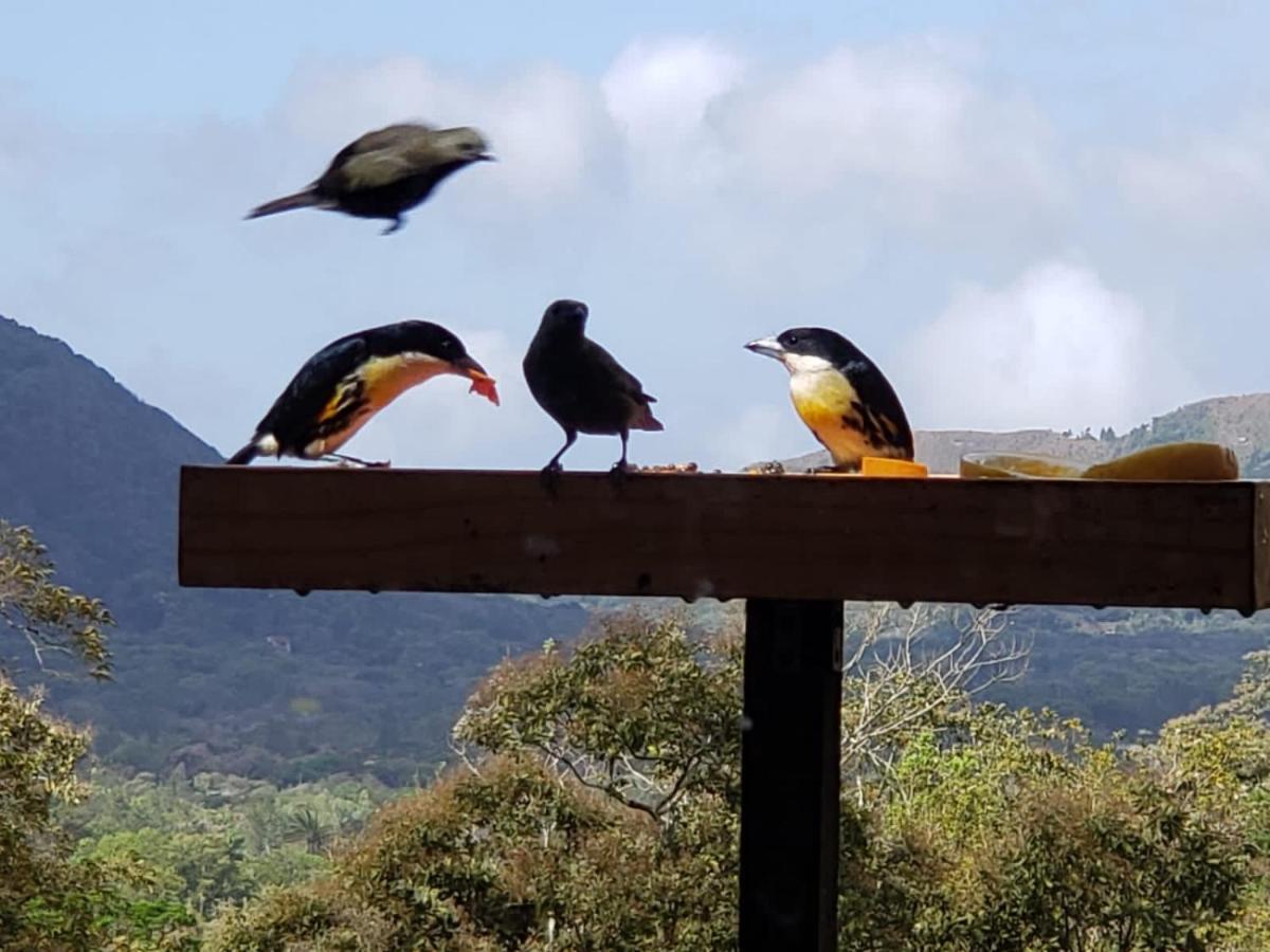 El Valle De Anton La Chachalaca מראה חיצוני תמונה