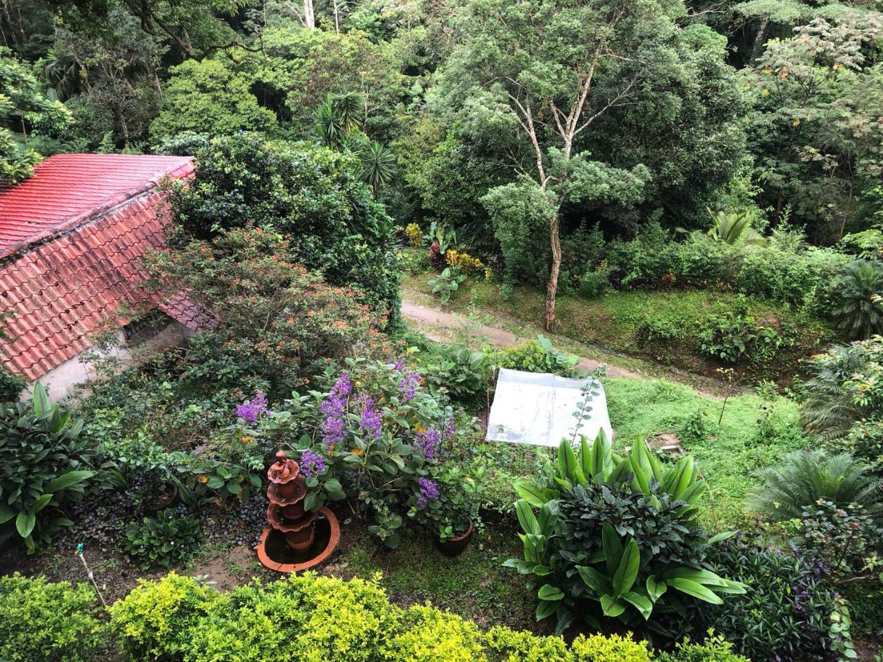 El Valle De Anton La Chachalaca מראה חיצוני תמונה