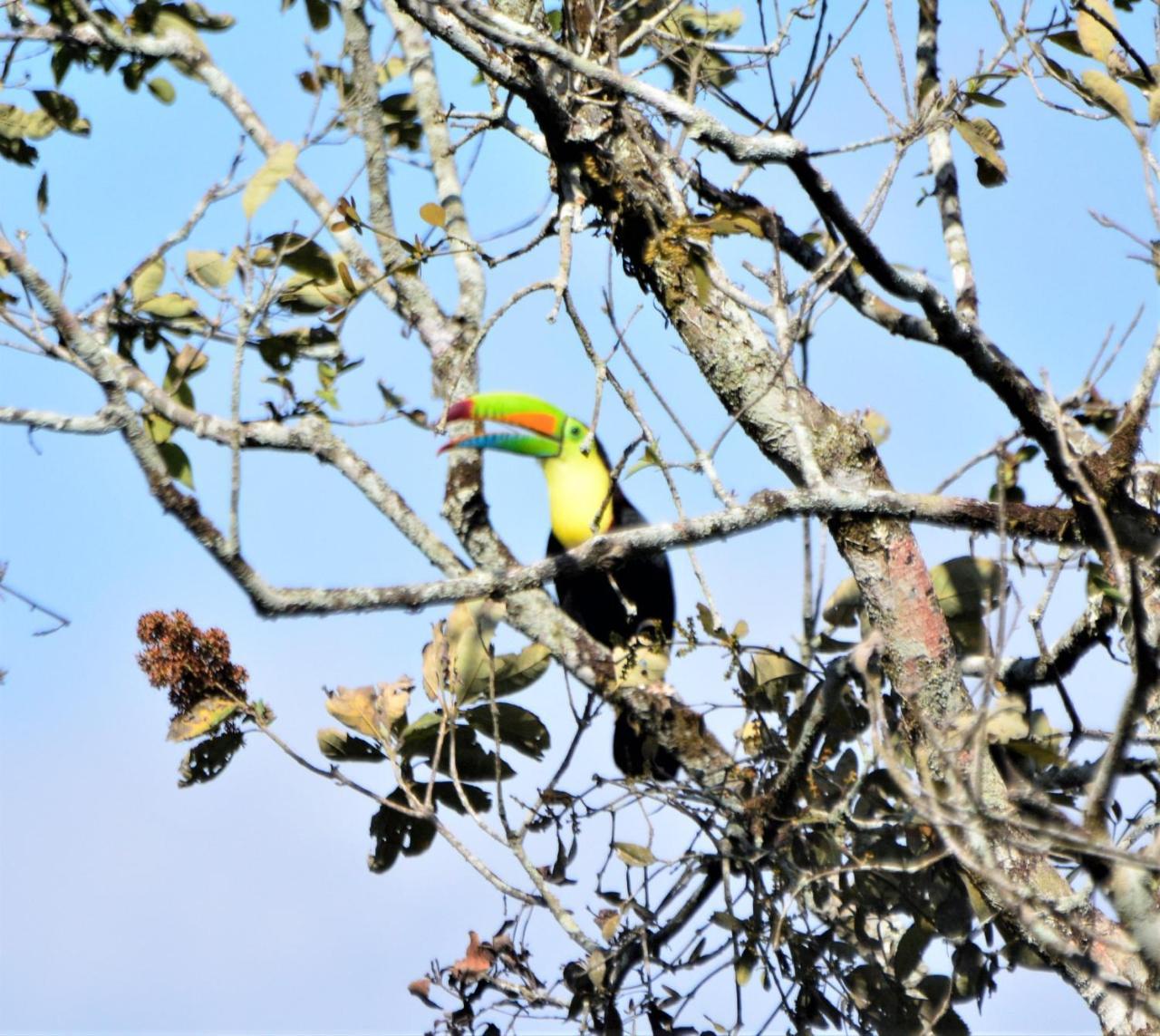 El Valle De Anton La Chachalaca מראה חיצוני תמונה