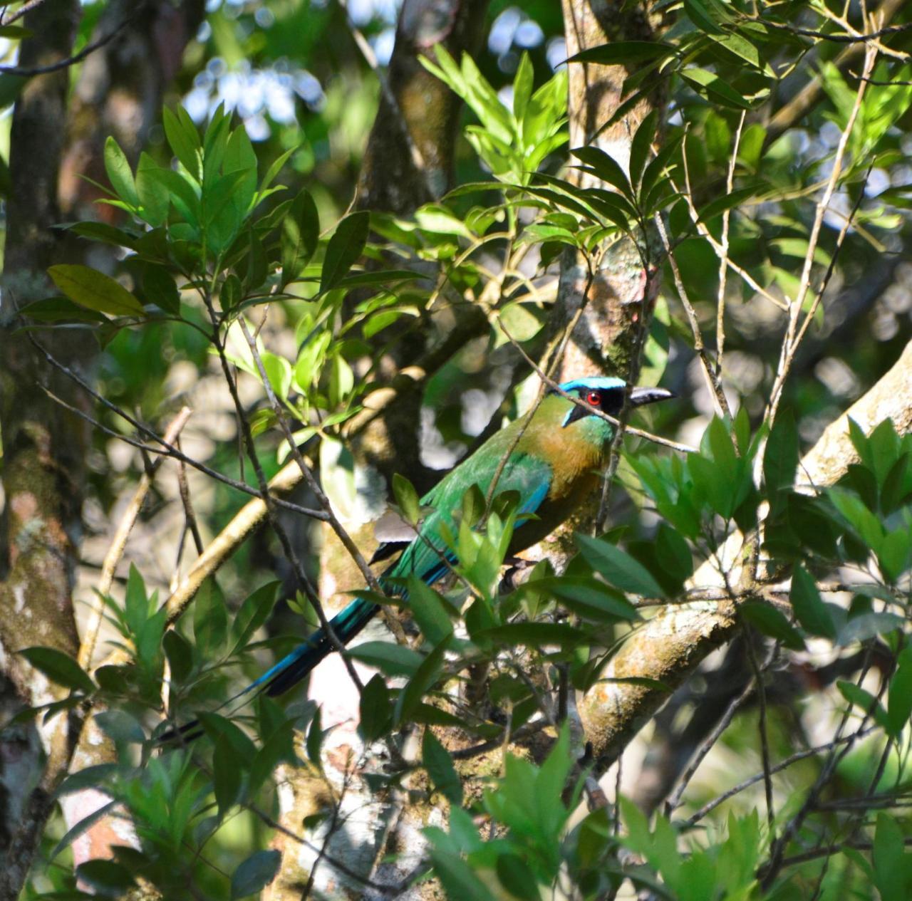 El Valle De Anton La Chachalaca מראה חיצוני תמונה
