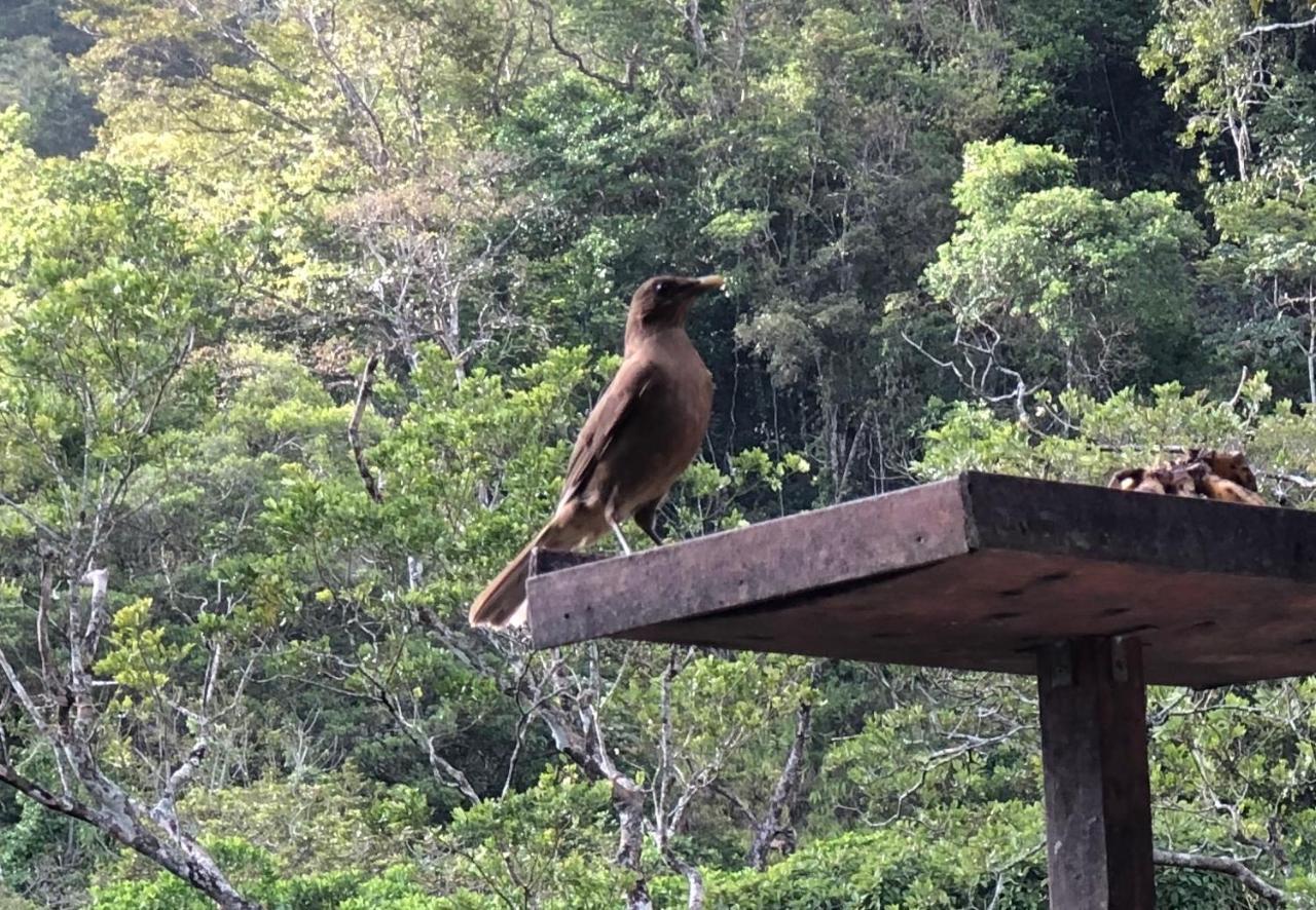 El Valle De Anton La Chachalaca מראה חיצוני תמונה